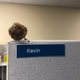Illustration for article titled I got a bird for my cubicle, now all my coworkers have them